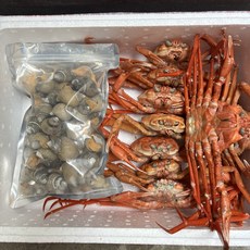 [당일출고]구룡포 국대수산 구룡포 패키지 홍게 + 고동, 1세트, 고동1kg