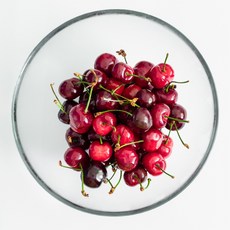 콩제슬래드체리딸랑이