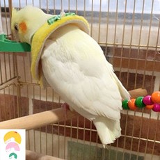 앵무새 깃털 자해방지 넥카라 앵무새옷 보호 조류옷, 핑크