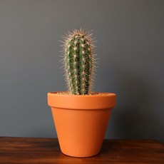 a7b4c0c6eeed56606c353c90b52f7a1b6db5911cba2cca8f3c875ada8d50.jpg