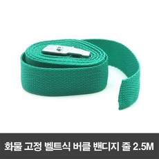 화물 고정 벨트식 버클 밴디지 줄 2.5M, 색상본상품선택