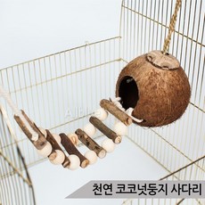 천연 코코넛둥지 나무사다리 그네 앵무새 장난감, 1개