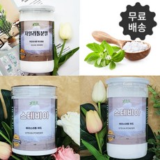 스테비바