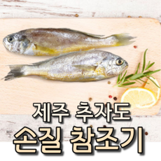 제주파지조기