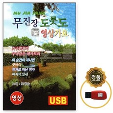 영상가요usb