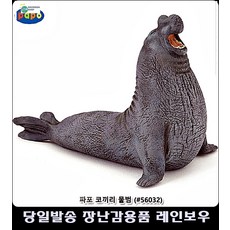 파포코끼리