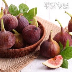 해남무화과잼