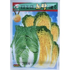 트레이더스배추가격