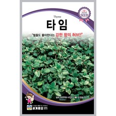 타임 씨앗 허브 종자 향신료 씨 thyme seed 200알, 1개