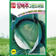 아시아종묘 양배추씨앗 그랜드마트 양배추 (500립), 500립