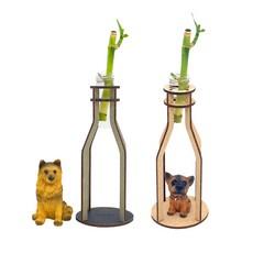 생명과학콩나물키우기