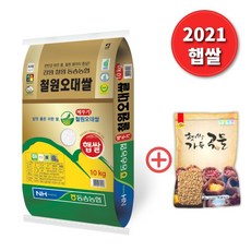 [귀리500증정] 21년 햅쌀 동송 농협 철원 오대쌀 쌀 10kg 단일품종 상등급 오대미, 단품