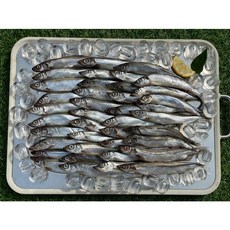 [전국왕수산] [군산창고] 대왕 열빙어 1kg, 1세트