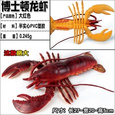 람보르기니반지