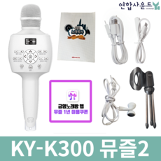 금영 뮤즐2 KY-K300 블루투스마이크 고성능 고출력 홈노래방 홈코노