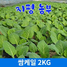 지평쌈채소