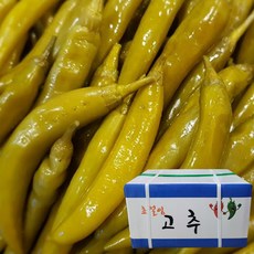 업소용 초절임 고추 9.5kg 장아찌 절임 고추피클 대용량, 1개