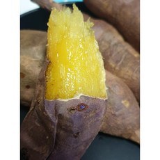 해남고흥석