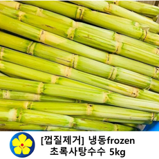 [껍질제거] 냉동(frozen) 초록사탕수수 베트남산, 5kg, 1개