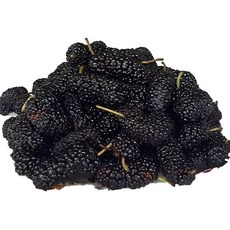 a5b18806a99086c9980e75408e5ae3e8fb711cbc97d8e6c038b4fda76d42.jpg