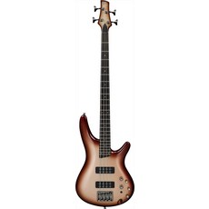 아이바네즈sr300e