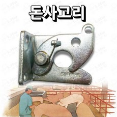 돈사고리, 1개