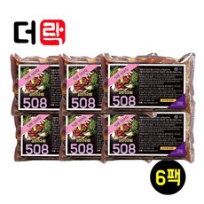 양념 소불고기 300그램 갈비아저씨 소불고기 6팩, 300g, 6개