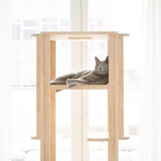 호우디자인