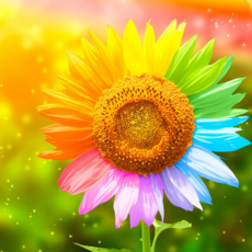 beedd734b92efeb68cb832123fbc75f65c726ea9b9eb8bcc48501d25db09.png