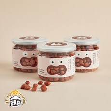 제주푸드 우도에서 직접 키운 백퍼 우도땅콩 100g x 3
