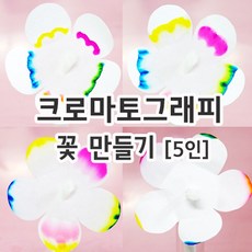 크로마토그래피꽃