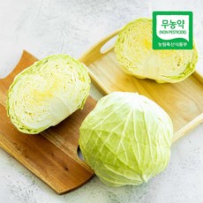 삼시세끼연구소 무농약 친환경 양배추 샐러드 재료 500g 1kg, 친환경 양배추 500g(내외), 1개