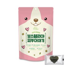 펫레터 보스웰리아 강아지 피부이야기 피부영양제 100g, 1개, 단품, 피부/피모