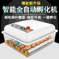 e33ff7479c2b31242f5ab6d57497d3bd21a37aa1a2ae8d9ac5ca3272663c.jpeg