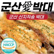 반비야넥밴드