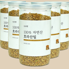 카무트 TOP01