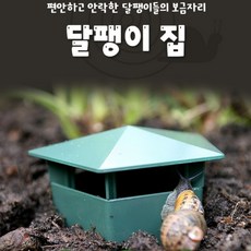 기몽마켓 달팽이 집 트랩 달팽이집소형, 1개