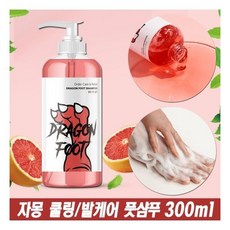 드래곤풋