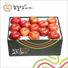 장길영사과 사과 왕특대과 10kg(20∼26과)