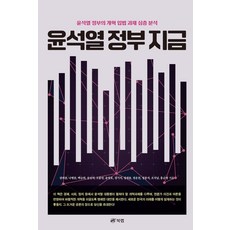 윤석열 정부 지금:윤석열 정부의 개혁 입법 과제 심층 분석, 북랩, 윤석열 정부 지금, 권의종, 나병문, 백승희, 송인석, 오풍연, 윤영호..