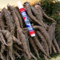 뉴나신생아카시트