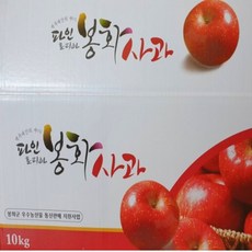 22-24내외 송이사과 5kg 백두대간 봉화사과 파인토피아 청량산사과