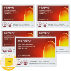 닥터불릿 푸응 팻버닝 다이어트 + 선물가방, 5개, 30정