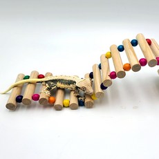 크레스티드게코 구름다리 흔들다리 백업 (도마뱀 사다리 파충류 사다리), 구름다리 사다리백업, 1개