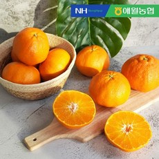 더조은푸드 [애월농협] 제주 레드향 4.5kg (13-28입), 1