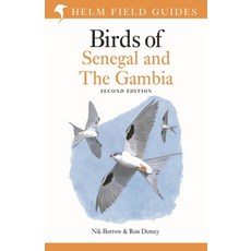 (영문도서) Field Guide to Birds of Senegal and the Gambia: Second Edition Paperback, Helm, English, 9781399402200