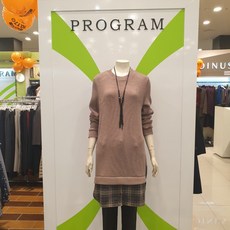 느린학습자를위한기획력향상프로그램