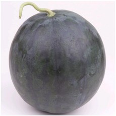 흑수박-추천-상품