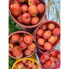 문경새재숙소-추천-상품