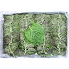 믿을 수 있는 우리 농산물 깻잎 특 1Kg 이강산닷컴, 1개